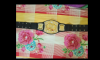 WWE CHAMPIONSHIP RIPLICA(TOY VERSION)